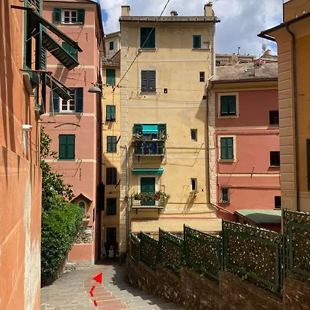 Liguria Holidays - The Black Camogli