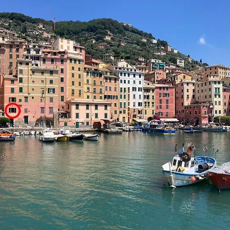 Liguria Holidays - The Black Camogli