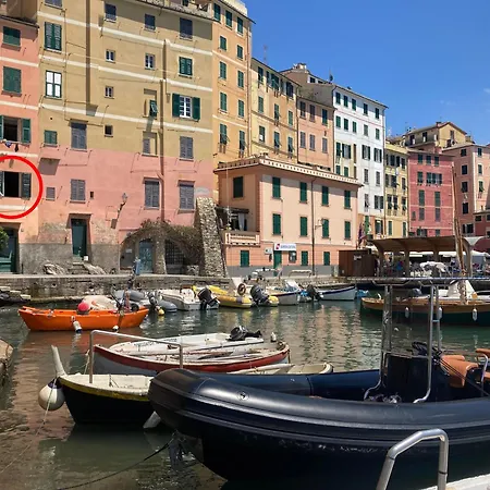 Liguria Holidays - The Black * Camogli